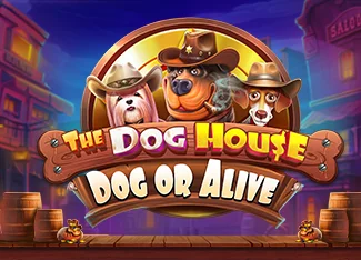 The Dog House Megaways Bahis Stratejisi ve Bankroll Yönetimi